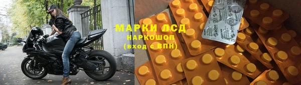 spice Дмитриев