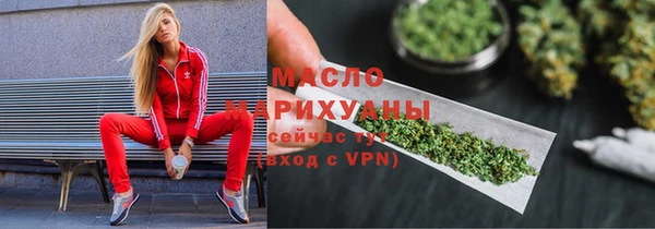 дмт Дмитровск