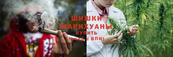 дмт Дмитровск