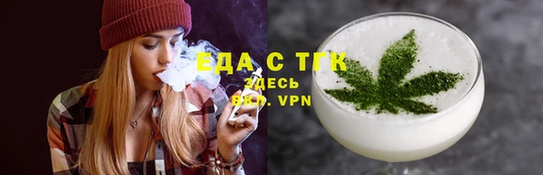 spice Дмитриев