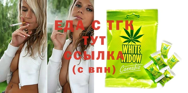 spice Дмитриев