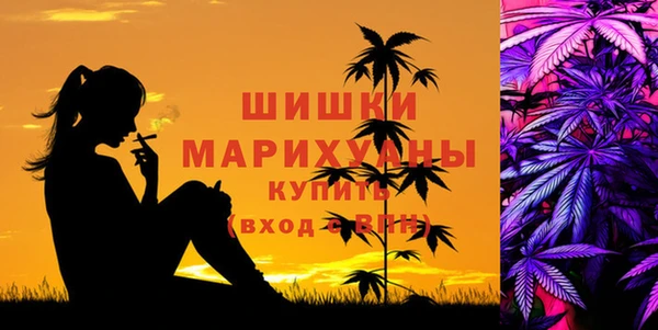 твердый Дмитров