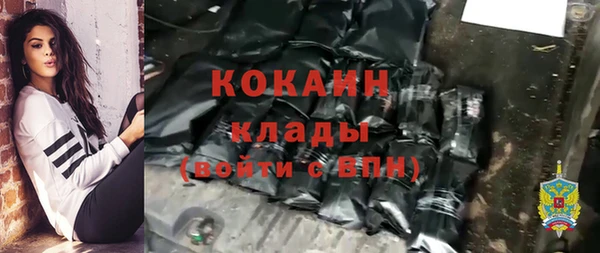 spice Дмитриев